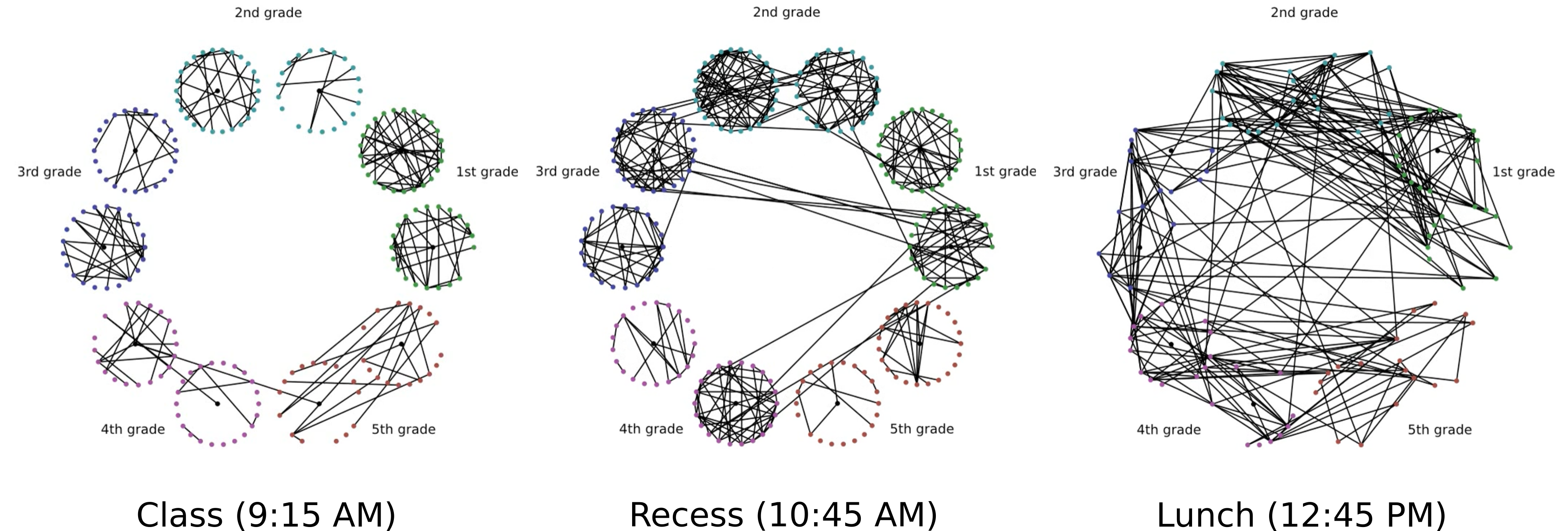 Primary School Graphs